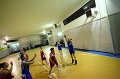 Basket 443042